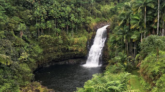 The Inn at Kulaniapia Falls offers scenic views of an accessible waterfall on the Island of Hawaii.